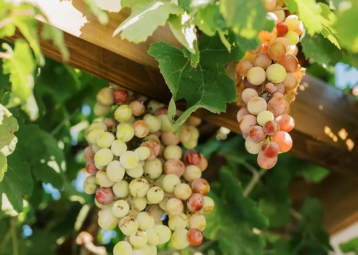 La Casetta Della Nonna *