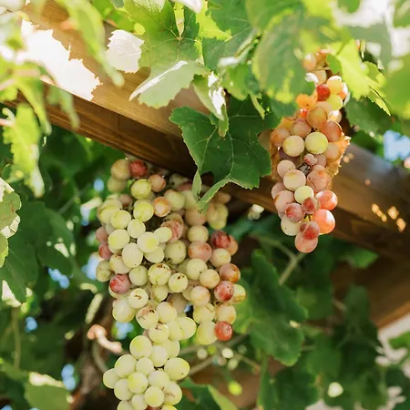 La Casetta Della Nonna *